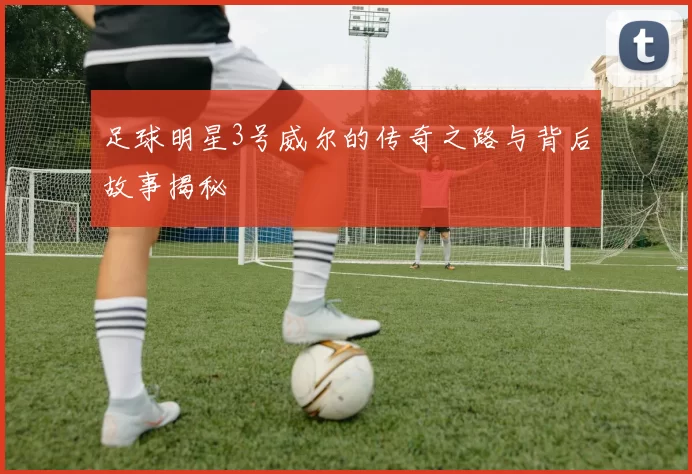 足球明星3号威尔的传奇之路与背后故事揭秘