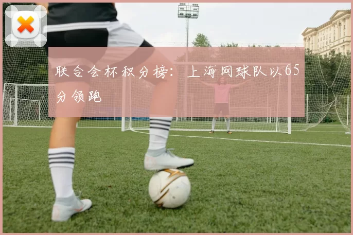 联合会杯积分榜：上海网球队以65分领跑