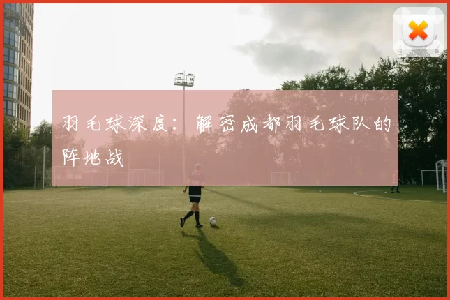 羽毛球深度：解密成都羽毛球队的阵地战