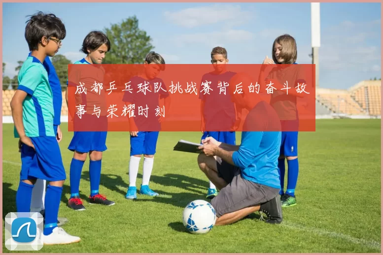 成都乒乓球队挑战赛背后的奋斗故事与荣耀时刻